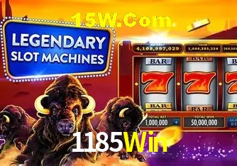 Sistemas de Segurança 1185Win