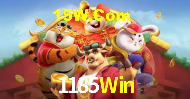 Segurança e privacidade no APP 1185Win